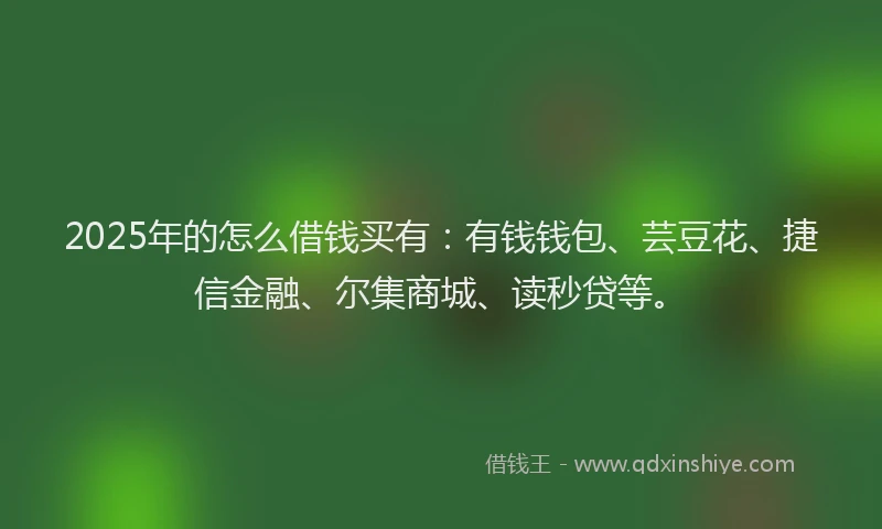 2025年的怎么借钱买有：有钱钱包、芸豆花、捷信金融、尔集商城、读秒贷等。
