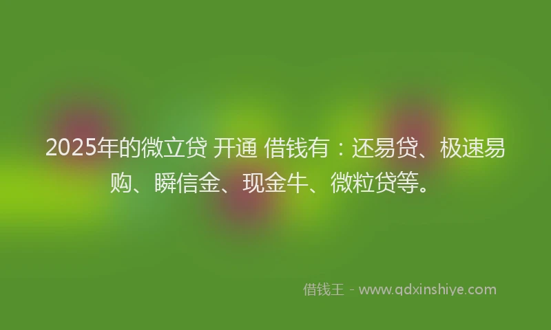 2025年的微立贷 开通 借钱有：还易贷、极速易购、瞬信金、现金牛、微粒贷等。