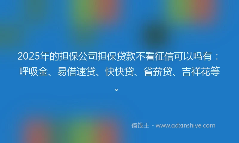 2025年的担保公司担保贷款不看征信可以吗有：呼吸金、易借速贷、快快贷、省薪贷、吉祥花等。