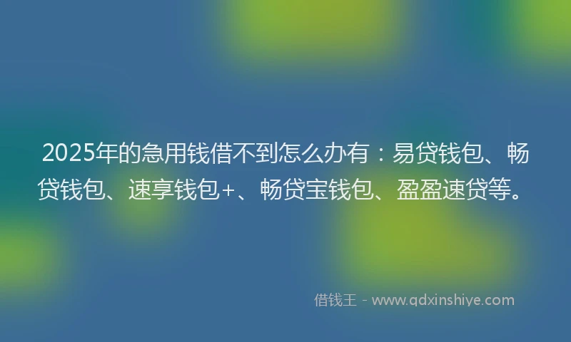 2025年的急用钱借不到怎么办有：易贷钱包、畅贷钱包、速享钱包+、畅贷宝钱包、盈盈速贷等。