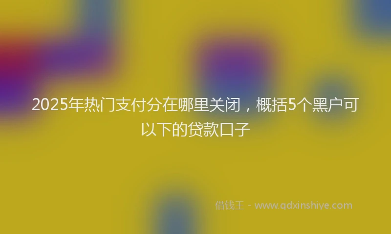 2025年热门支付分在哪里关闭，概括5个黑户可以下的贷款口子
