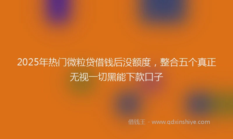 2025年热门微粒贷借钱后没额度，整合五个真正无视一切黑能下款口子
