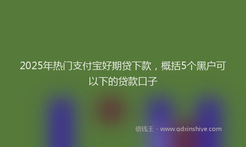 2025年热门支付宝好期贷下款，概括5个黑户可以下的贷款口子