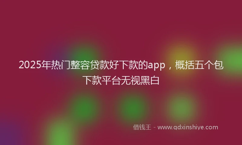 2025年热门整容贷款好下款的app，概括五个包下款平台无视黑白