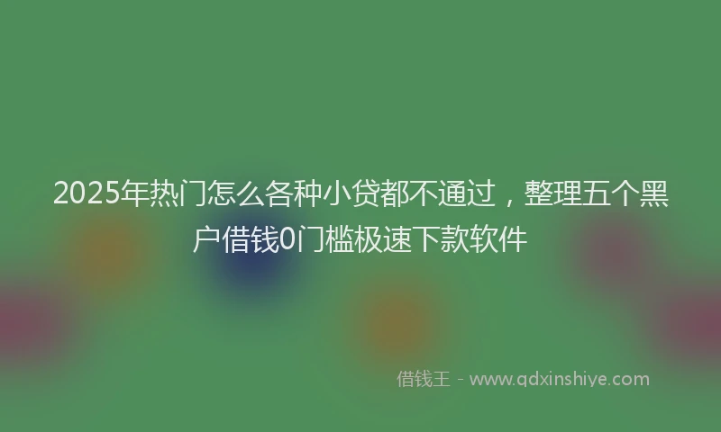 2025年热门怎么各种小贷都不通过，整理五个黑户借钱0门槛极速下款软件