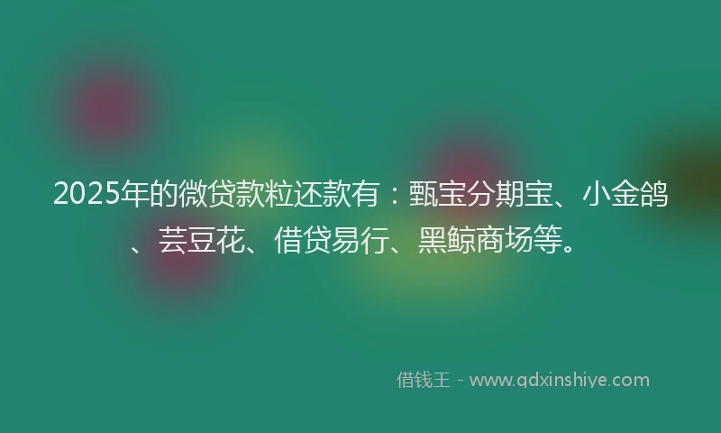2025年的微贷款粒还款有：甄宝分期宝、小金鸽、芸豆花、借贷易行、黑鲸商场等。