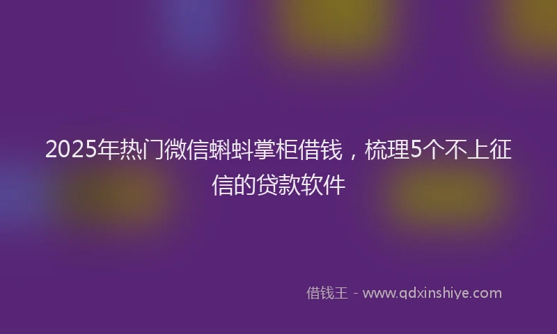 2025年热门微信蝌蚪掌柜借钱，梳理5个不上征信的贷款软件