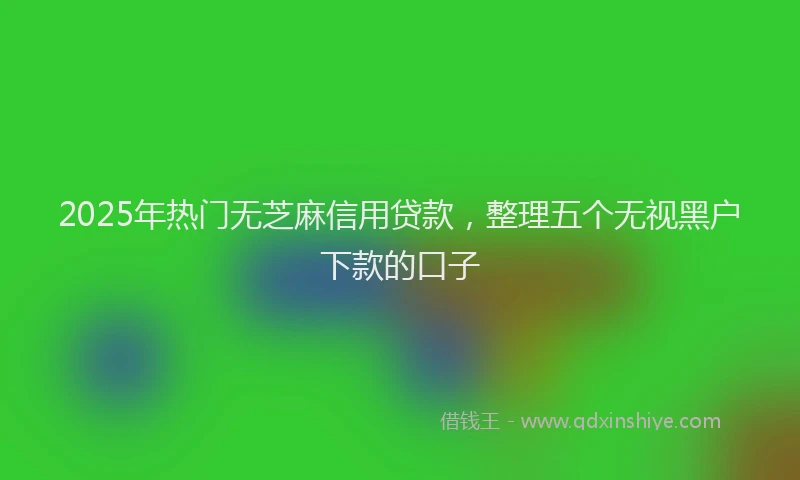 2025年热门无芝麻信用贷款，整理五个无视黑户下款的口子