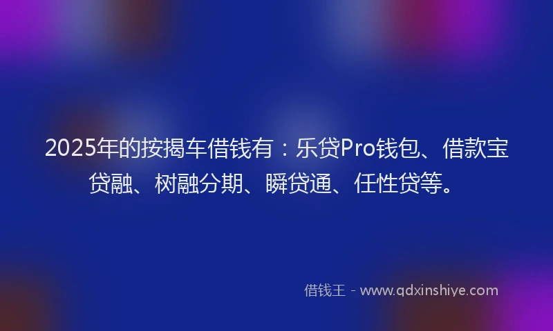 2025年的按揭车借钱有：乐贷Pro钱包、借款宝贷融、树融分期、瞬贷通、任性贷等。