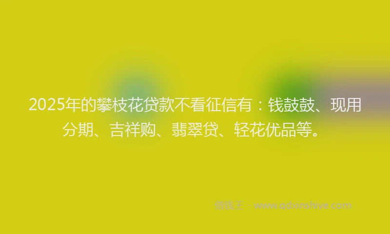 2025年的攀枝花贷款不看征信有：钱鼓鼓、现用分期、吉祥购、翡翠贷、轻花优品等。