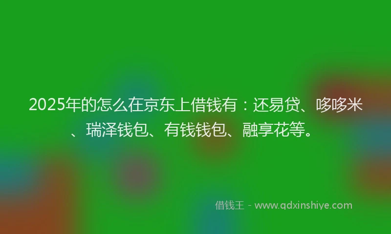 2025年的怎么在京东上借钱有：还易贷、哆哆米、瑞泽钱包、有钱钱包、融享花等。