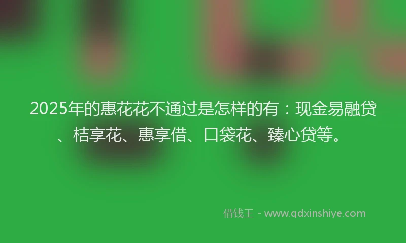 2025年的惠花花不通过是怎样的有：现金易融贷、桔享花、惠享借、口袋花、臻心贷等。