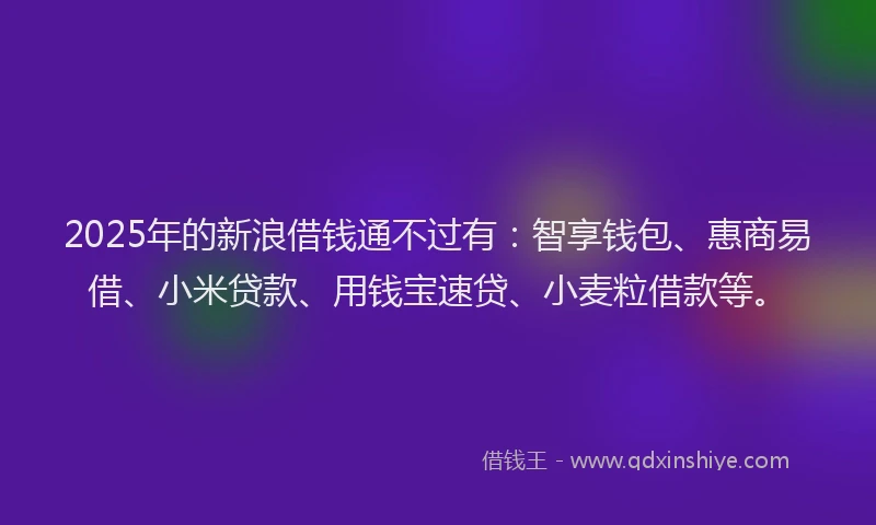 2025年的新浪借钱通不过有：智享钱包、惠商易借、小米贷款、用钱宝速贷、小麦粒借款等。