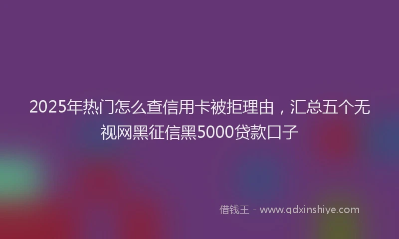 2025年热门怎么查信用卡被拒理由，汇总五个无视网黑征信黑5000贷款口子