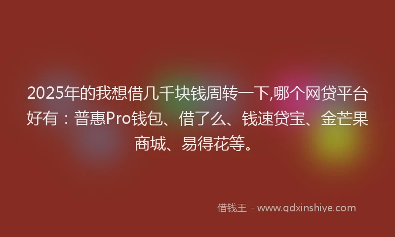2025年的我想借几千块钱周转一下,哪个网贷平台好有：普惠Pro钱包、借了么、钱速贷宝、金芒果商城、易得花等。