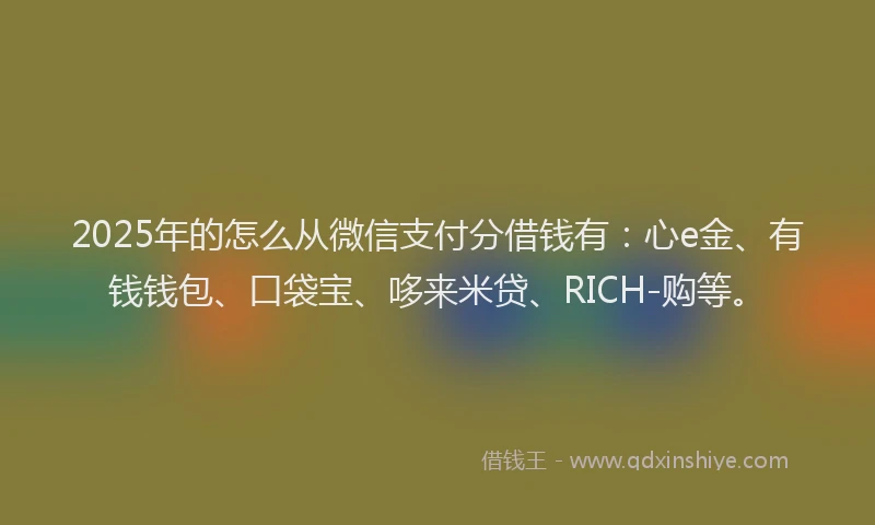 2025年的怎么从微信支付分借钱有：心e金、有钱钱包、口袋宝、哆来米贷、RICH-购等。