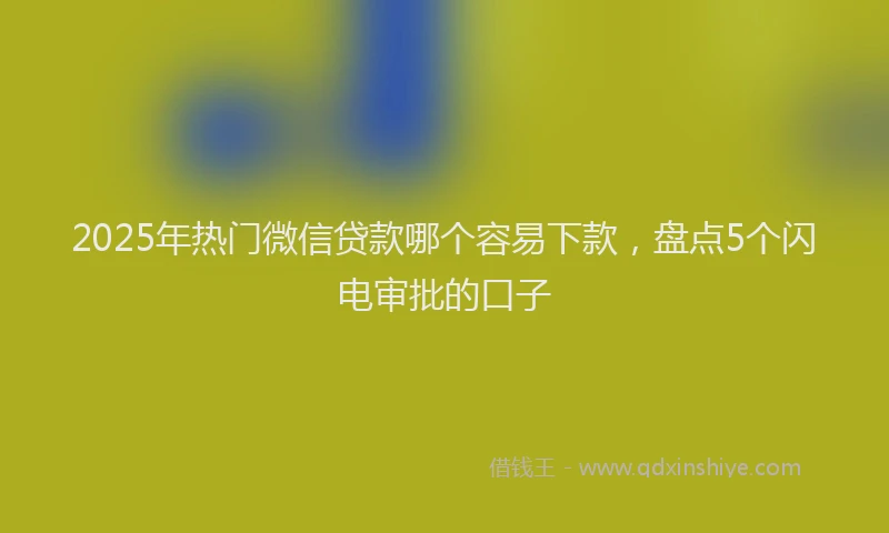 2025年热门微信贷款哪个容易下款，盘点5个闪电审批的口子
