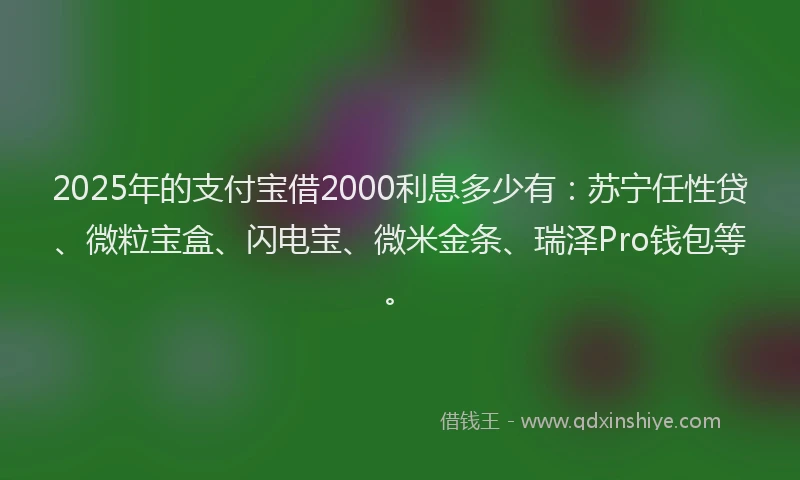 2025年的支付宝借2000利息多少有：苏宁任性贷、微粒宝盒、闪电宝、微米金条、瑞泽Pro钱包等。