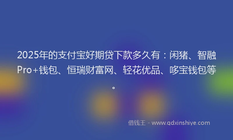 2025年的支付宝好期贷下款多久有：闲猪、智融Pro+钱包、恒瑞财富网、轻花优品、哆宝钱包等。