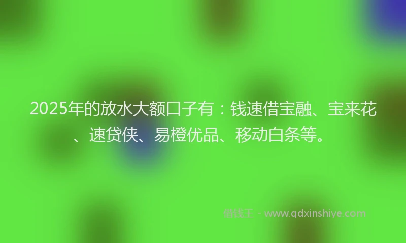 2025年的放水大额口子有：钱速借宝融、宝来花、速贷侠、易橙优品、移动白条等。