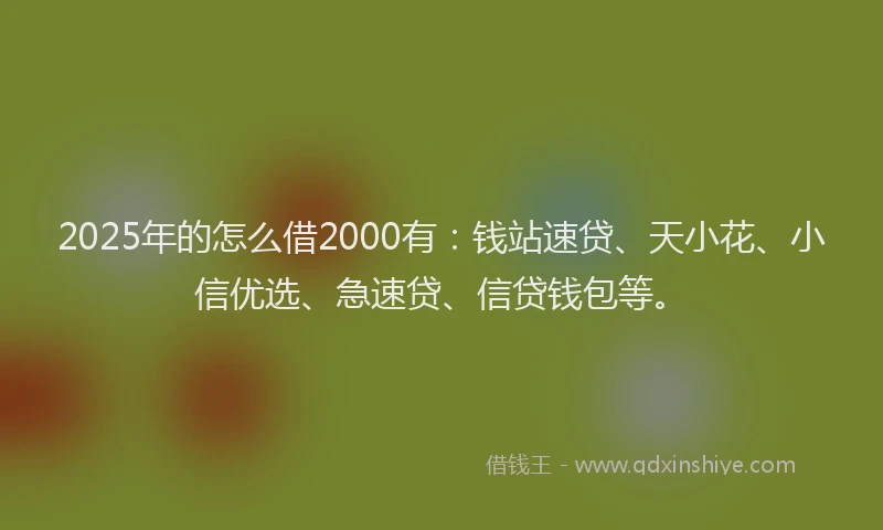 2025年的怎么借2000有：钱站速贷、天小花、小信优选、急速贷、信贷钱包等。