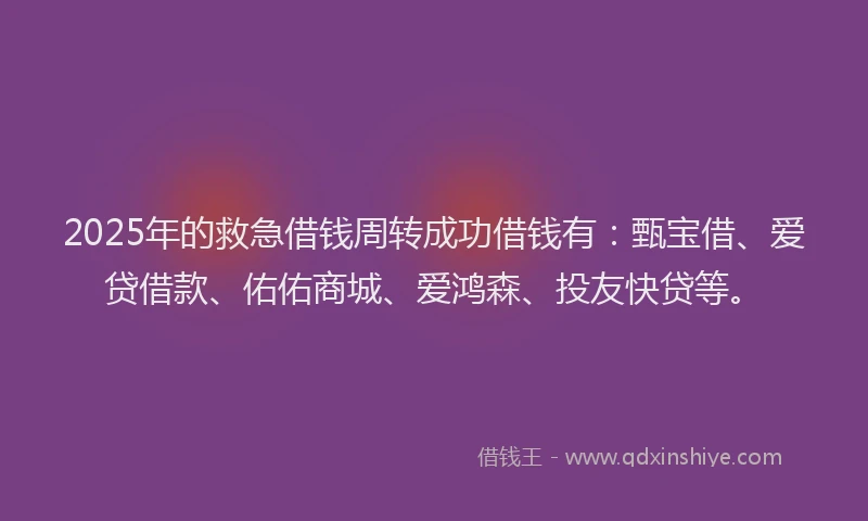 2025年的救急借钱周转成功借钱有：甄宝借、爱贷借款、佑佑商城、爱鸿森、投友快贷等。