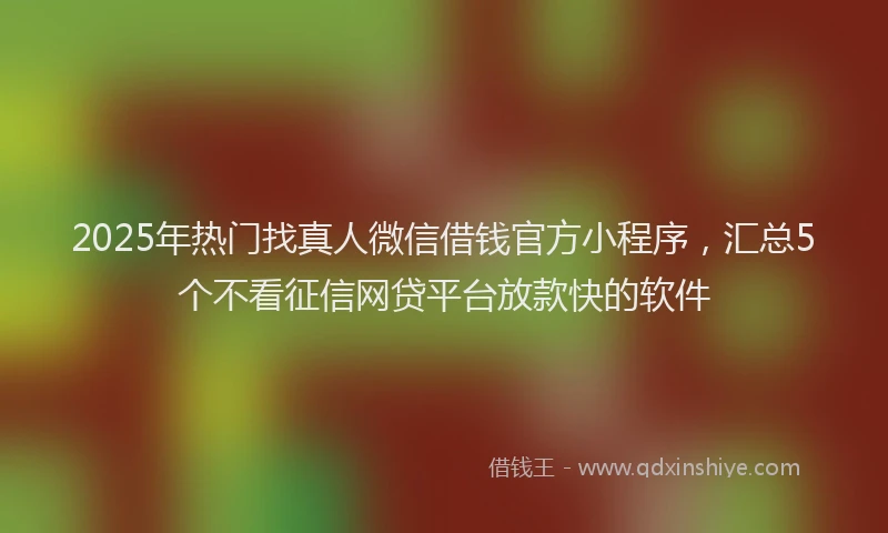 2025年热门找真人微信借钱官方小程序，汇总5个不看征信网贷平台放款快的软件