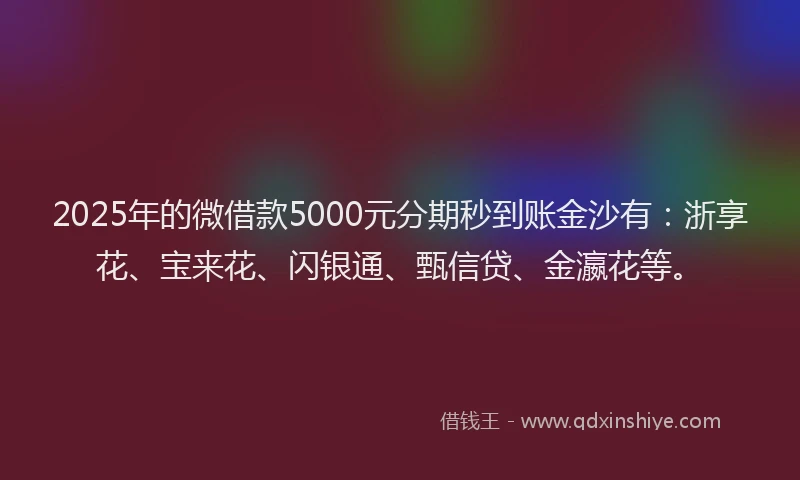 2025年的微借款5000元分期秒到账金沙有：浙享花、宝来花、闪银通、甄信贷、金瀛花等。