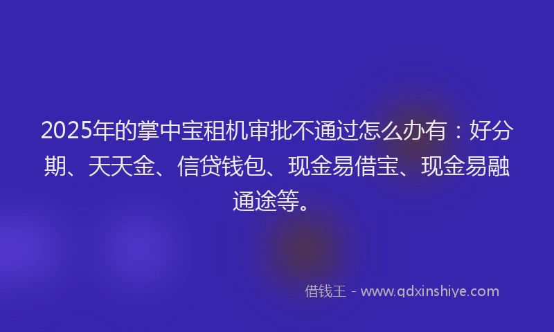 2025年的掌中宝租机审批不通过怎么办有：好分期、天天金、信贷钱包、现金易借宝、现金易融通途等。