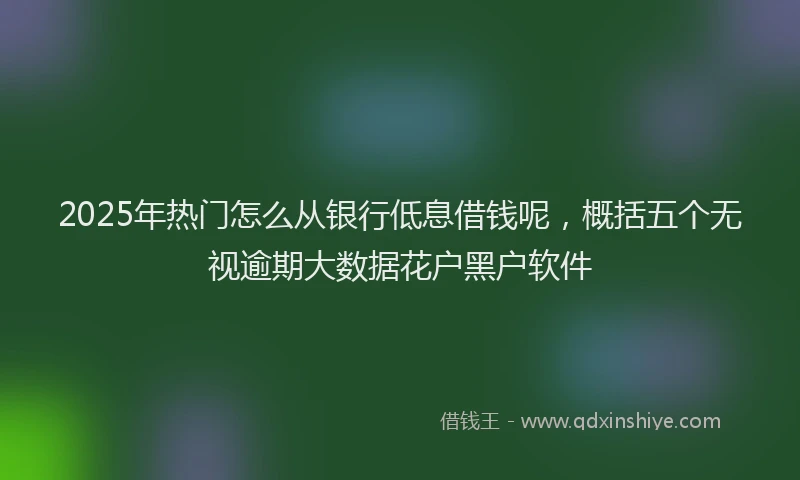 2025年热门怎么从银行低息借钱呢，概括五个无视逾期大数据花户黑户软件