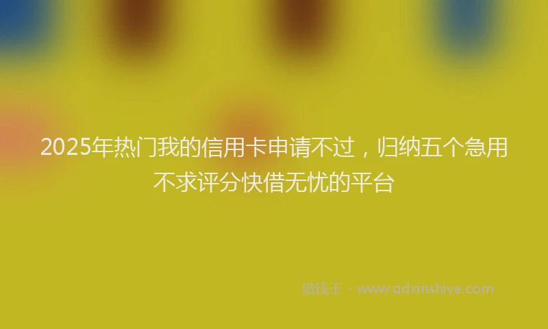 2025年热门我的信用卡申请不过，归纳五个急用不求评分快借无忧的平台