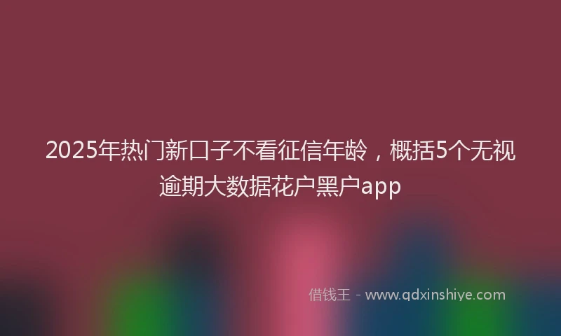 2025年热门新口子不看征信年龄，概括5个无视逾期大数据花户黑户app