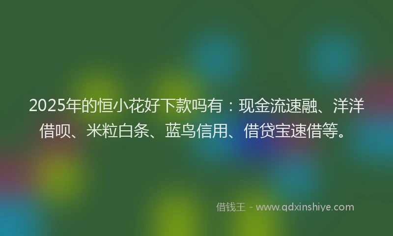 2025年的恒小花好下款吗有：现金流速融、洋洋借呗、米粒白条、蓝鸟信用、借贷宝速借等。