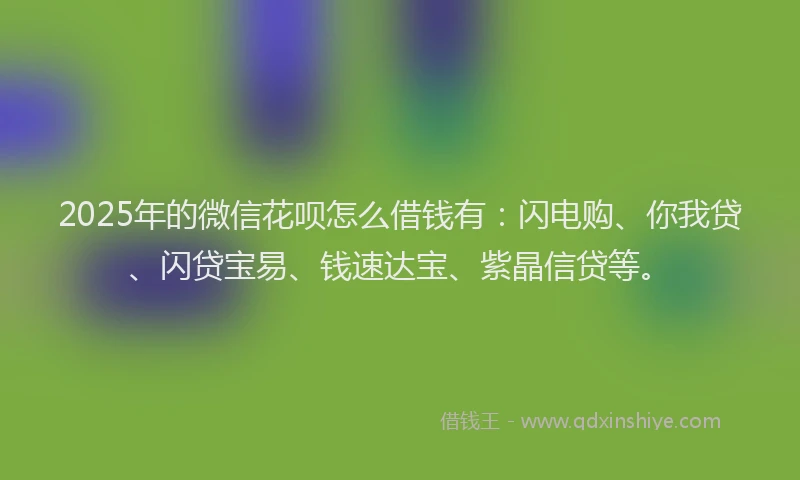 2025年的微信花呗怎么借钱有：闪电购、你我贷、闪贷宝易、钱速达宝、紫晶信贷等。