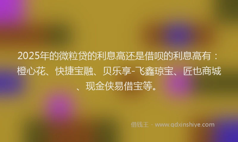 2025年的微粒贷的利息高还是借呗的利息高有：橙心花、快捷宝融、贝乐享-飞鑫琼宝、匠也商城、现金侠易借宝等。