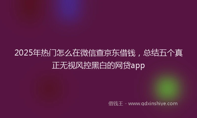 2025年热门怎么在微信查京东借钱，总结五个真正无视风控黑白的网贷app
