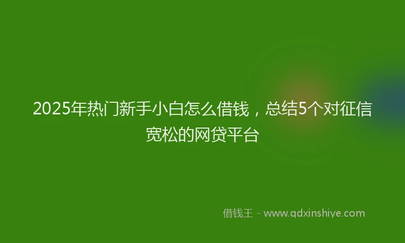 2025年热门新手小白怎么借钱，总结5个对征信宽松的网贷平台