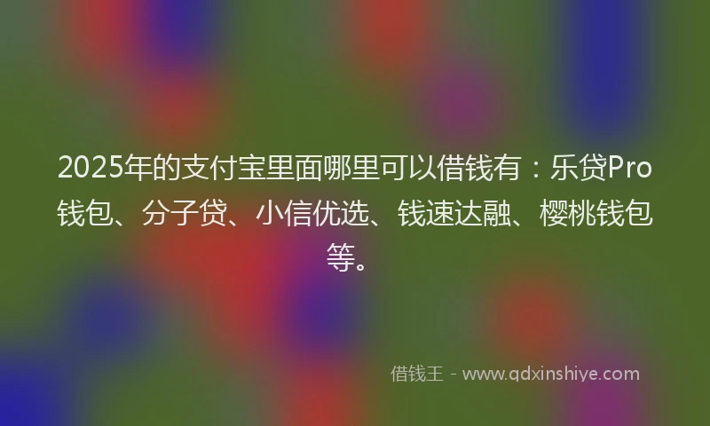 2025年的支付宝里面哪里可以借钱有：乐贷Pro钱包、分子贷、小信优选、钱速达融、樱桃钱包等。
