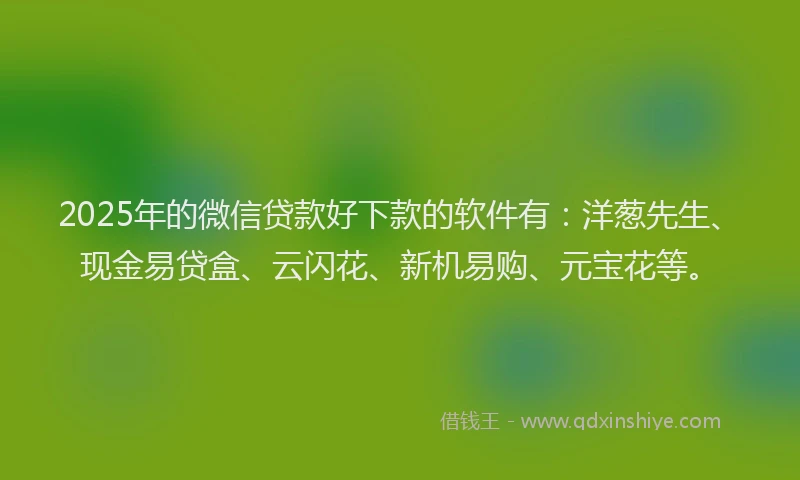 2025年的微信贷款好下款的软件有：洋葱先生、现金易贷盒、云闪花、新机易购、元宝花等。