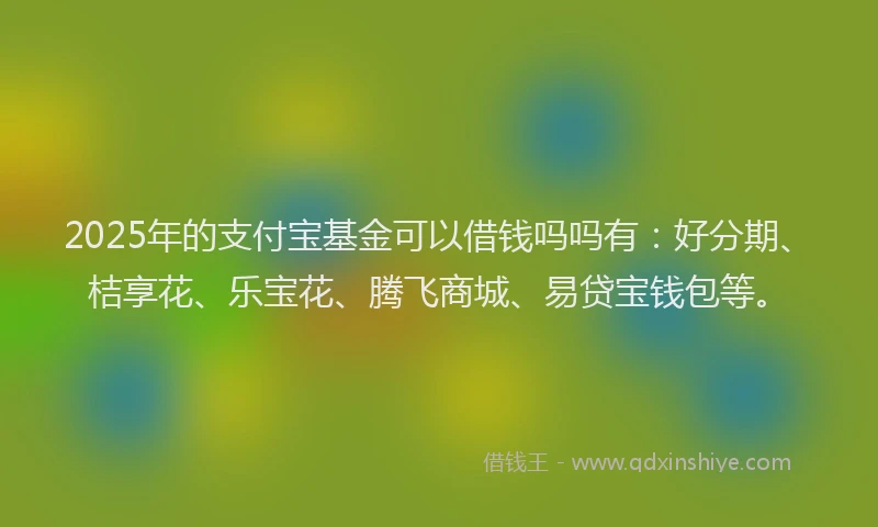 2025年的支付宝基金可以借钱吗吗有：好分期、桔享花、乐宝花、腾飞商城、易贷宝钱包等。