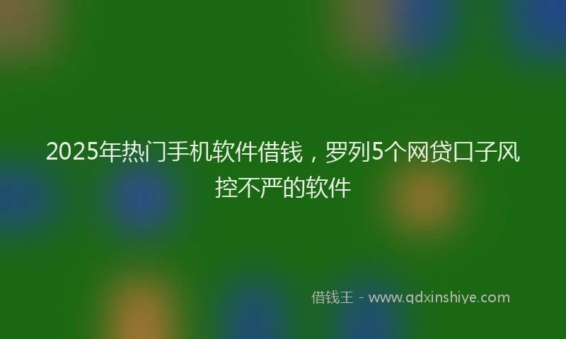 2025年热门手机软件借钱，罗列5个网贷口子风控不严的软件