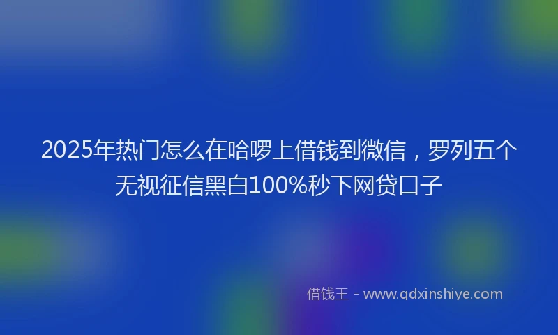 2025年热门怎么在哈啰上借钱到微信，罗列五个无视征信黑白100%秒下网贷口子