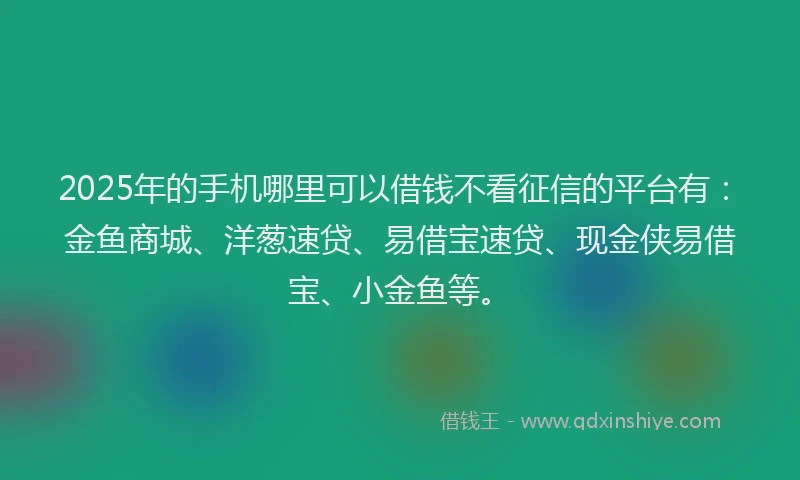 2025年的手机哪里可以借钱不看征信的平台有：金鱼商城、洋葱速贷、易借宝速贷、现金侠易借宝、小金鱼等。