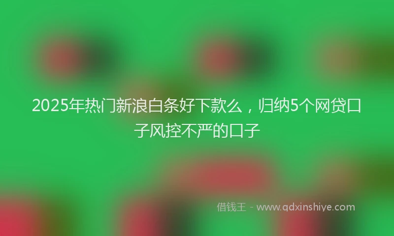 2025年热门新浪白条好下款么，归纳5个网贷口子风控不严的口子