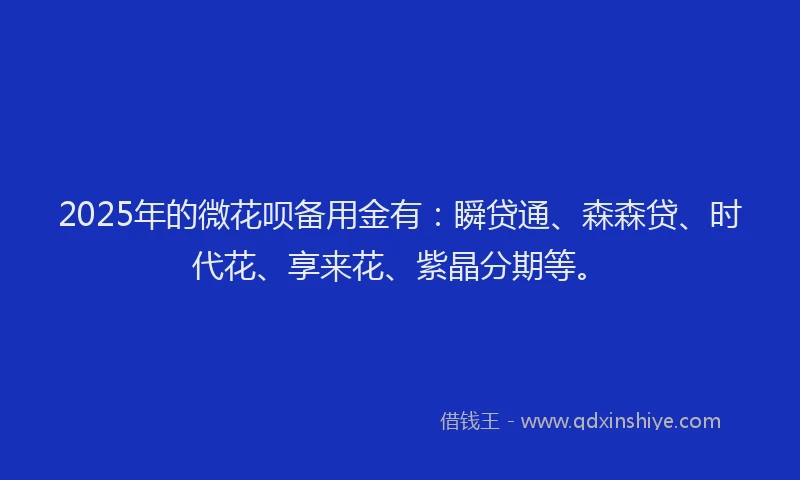 2025年的微花呗备用金有：瞬贷通、森森贷、时代花、享来花、紫晶分期等。