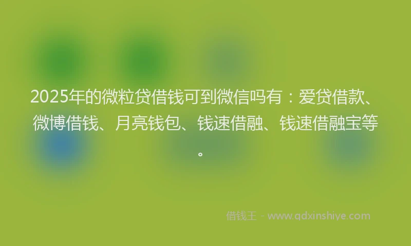 2025年的微粒贷借钱可到微信吗有：爱贷借款、微博借钱、月亮钱包、钱速借融、钱速借融宝等。