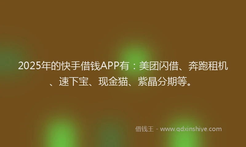 2025年的快手借钱APP有：美团闪借、奔跑租机、速下宝、现金猫、紫晶分期等。