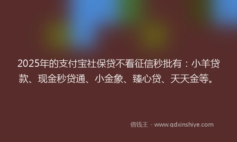 2025年的支付宝社保贷不看征信秒批有：小羊贷款、现金秒贷通、小金象、臻心贷、天天金等。