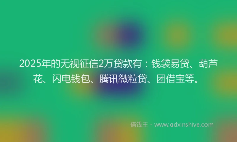 2025年的无视征信2万贷款有：钱袋易贷、葫芦花、闪电钱包、腾讯微粒贷、团借宝等。
