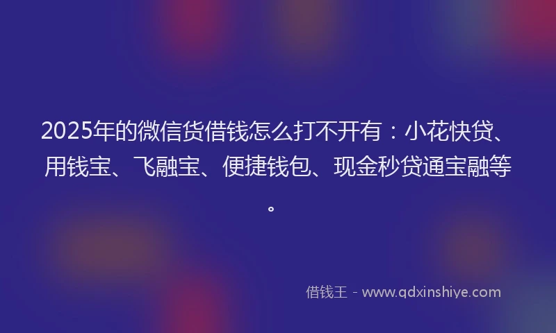 2025年的微信货借钱怎么打不开有：小花快贷、用钱宝、飞融宝、便捷钱包、现金秒贷通宝融等。